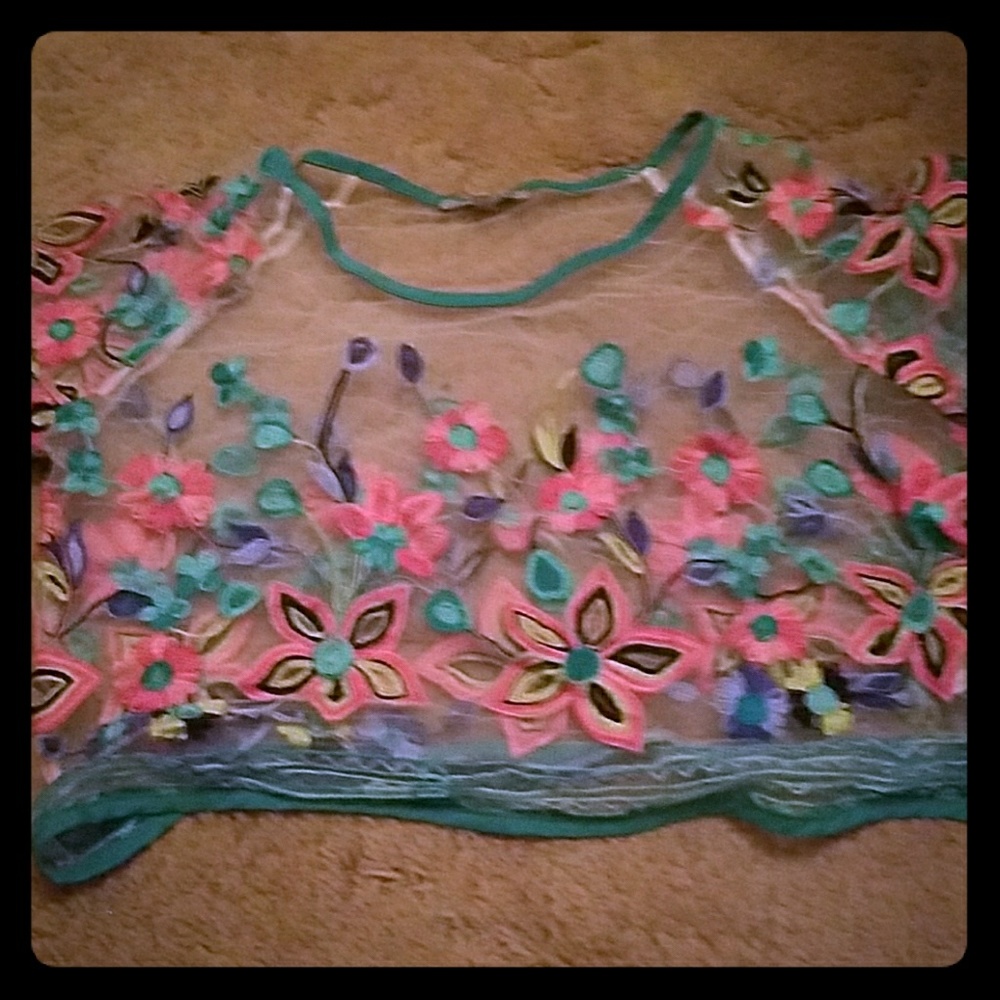Sheer crop top